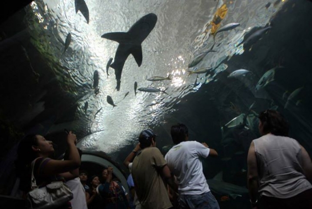 Acuario de Veracruz